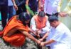 मालाग्राम में हरेला उत्सव के दौरान सीएम धामी ने लगाए पौधे, हरियाली बढ़ाने का किया आह्वान