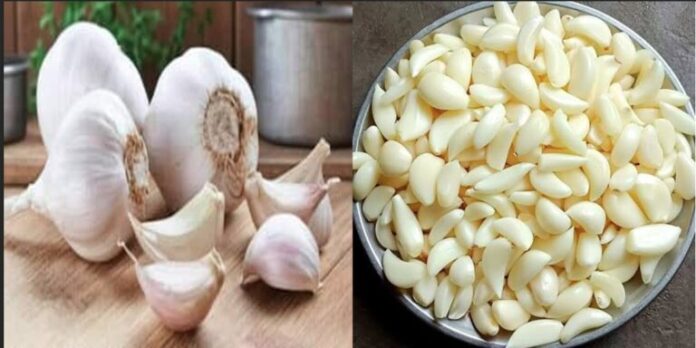 खाली पेट कच्चा लहसुन खाने से सेहत को कितना लाभ? जानिए फायदे, नुकसान और सेवन विधि